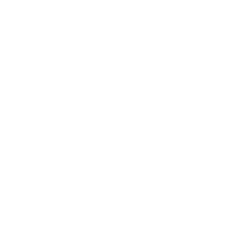 Capabilities 1 engineer